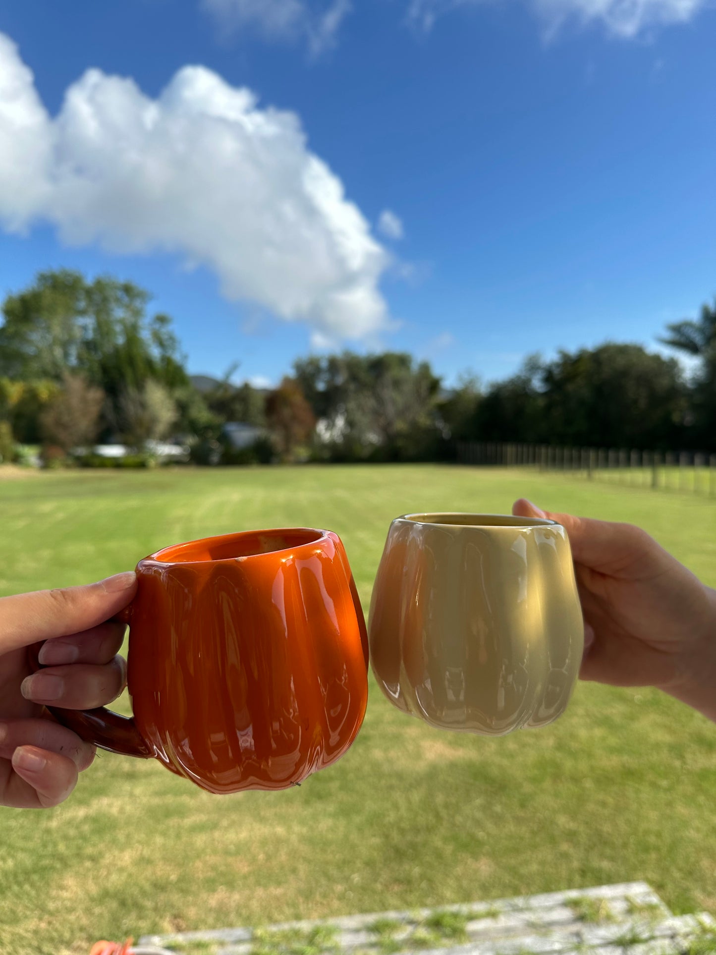 Pumpkin Mug